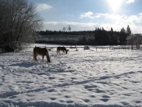 Winter-2010-1 (21).JPG