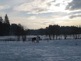 Winter-2010 (31).JPG
