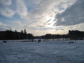 Winter-2010 (32).JPG