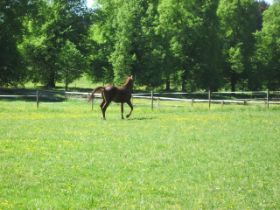 k-IMG_1288.JPG