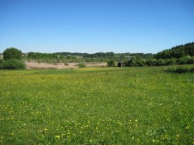 k-IMG_1290.JPG