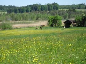 k-IMG_1291.JPG