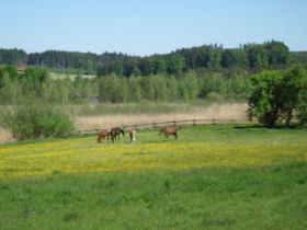 k-IMG_1293.JPG