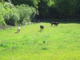 k-IMG_1307.JPG