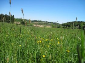 k-IMG_1313.JPG