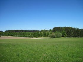 k-IMG_1315.JPG
