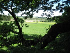 k-IMG_1317.JPG