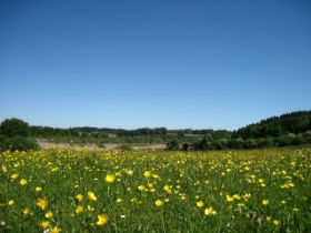 k-IMG_1323.JPG