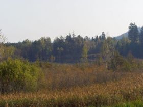 k-IMGP1471.jpg