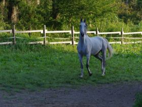 k-IMGP0921.jpg