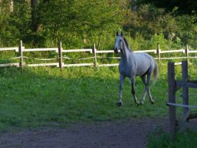 k-IMGP0918.jpg