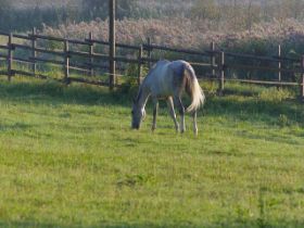 k-IMGP0905.jpg